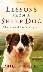 LESSONS FROM A SHEEP DOG