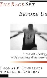 RACE SET BEFORE US, THE