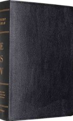ESV STUDY BIBLE GEN LEATHER