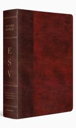 ESV STUDY BIBLE TT BURGUNDY TIMELESS O/P