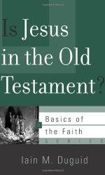 IS JESUS IN THE OLD TESTAMENT? - BOTF