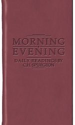 MORNING AND EVENING B/LEATHER/BUR