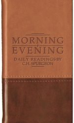 MORNING AND EVENING B/L TAN/BURG