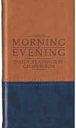 MORNING AND EVENING B/LEATHER/TAN/BLUE