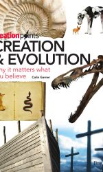 CREATION & EVOLUTION (CREATION PTS)