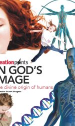 IN GOD'S IMAGE: CREATIONS POINTS