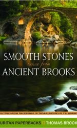 SMOOTH STONES TAKEN FROM ANCIENT BROOKS