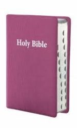 NIV GIANT PRINT CERISE PINK