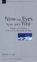 NOW MY EYES HAVE SEEN YOU - NSBT