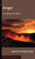 ANGER: ESCAPING THE MAZE - RCL