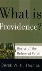 WHAT IS PROVIDENCE? - BOTF