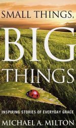 SMALL THINGS BIG THINGS