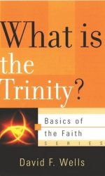 WHAT IS THE TRINITY? - BOTF