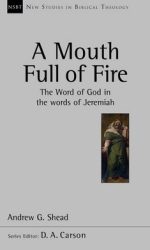 MOUTH FULL OF FIRE - NSBT