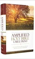 AMPLIFIED LARGE PRINT H/C