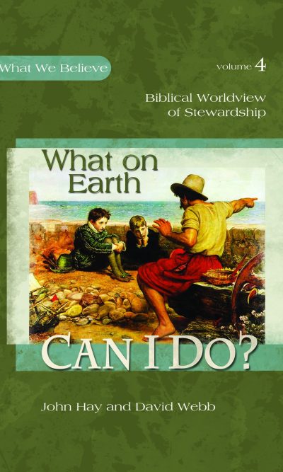 WHAT ON EARTH CAN I DO? - WWB4