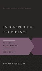 INCONSPICUOUS PROVIDENCE- GAOT