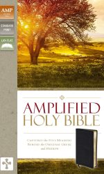 AMPLIFIED BLACK BL BIBLE