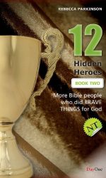 TWELVE HIDDEN HEROES NT BOOK 2