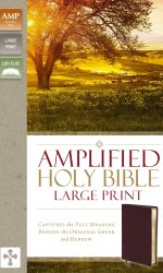AMPLIFIED LARGE PRINT BL