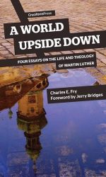 WORLD UPSIDE DOWN, A