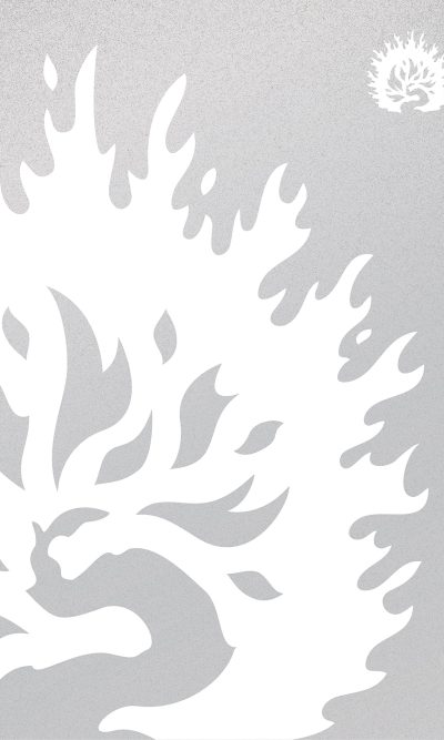 ESV REFORMATION STUDY H/C WHITE