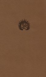 ESV REFORMATION STUDY IM LIGHT BROWN