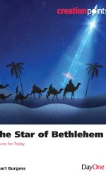STAR OF BETHLEHEM