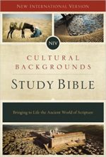 NIV CULTURAL BACKGROUNDS STUDY BIBLE