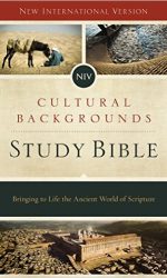NIV CULTURAL BACKGROUNDS STUDY BIBLE