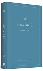 ESV ECONOMY LARGE PRINT