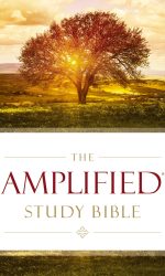 AMPLIFIED LARGE PRINT STUDY BIBLE