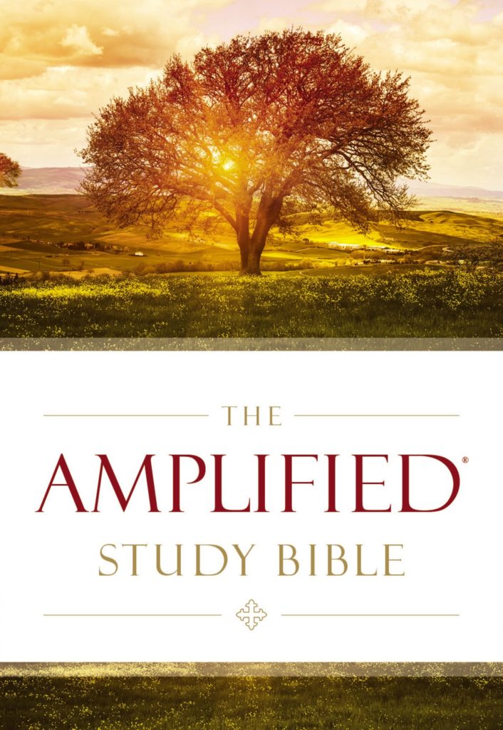 AMPLIFIED LARGE PRINT STUDY BIBLE – Good Neighbours Bookshop ...