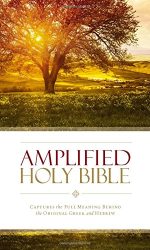 AMPLIFIED BIBLE H/C