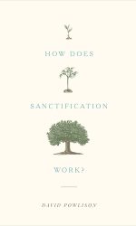 HOW DOES SANCTIFICATION WORK?