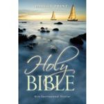 NIV ECONOMY BIBLE LARGE PRINT