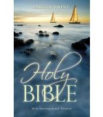 NIV ECONOMY BIBLE LARGE PRINT