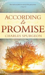 ACCORDING TO PROMISE