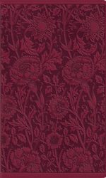 ESV COMPACT LARGE PRINT TT BERRY