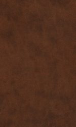 ESV COMPACT VALUE TT BROWN