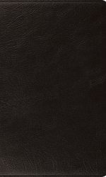 ESV LP THINLINE GL BLACK