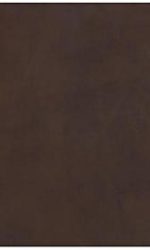 CSB STUDY BIBLE BROWN - GENUINE LEATHER