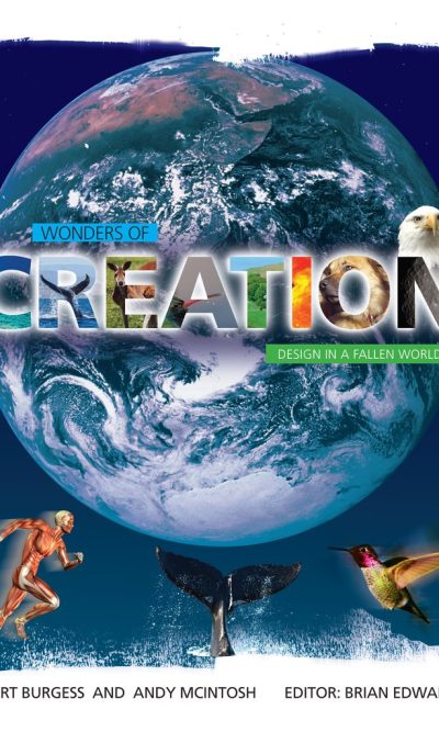 WONDERS OF CREATION
