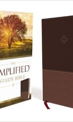 AMPLIFIED STUDY BIBLE BROWN IM