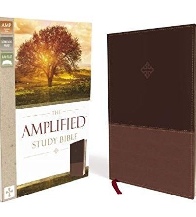 AMPLIFIED STUDY BIBLE BROWN IM