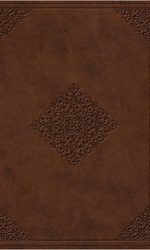 ESV STUDY BIBLE PERSONAL SIZE TT SADDLE