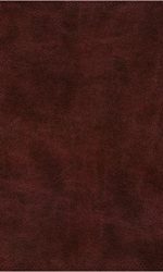 ESV SUPER GIANT PRINT TT BURGUNDY