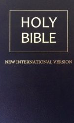 NIV VINYL NAVY BIBLE