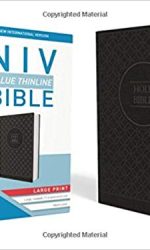 NIV LP VALUE THINLINE CHARCOAL/ BLACK