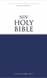 NIV ECONOMY PAPERBACK